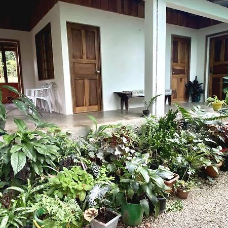 Maison d'hôtes Casa Briza à Nicoya Extérieur photo