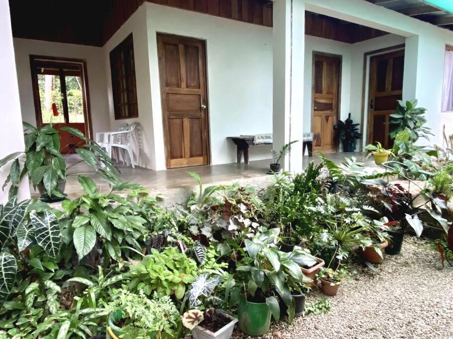 Maison d'hôtes Casa Briza à Nicoya Extérieur photo