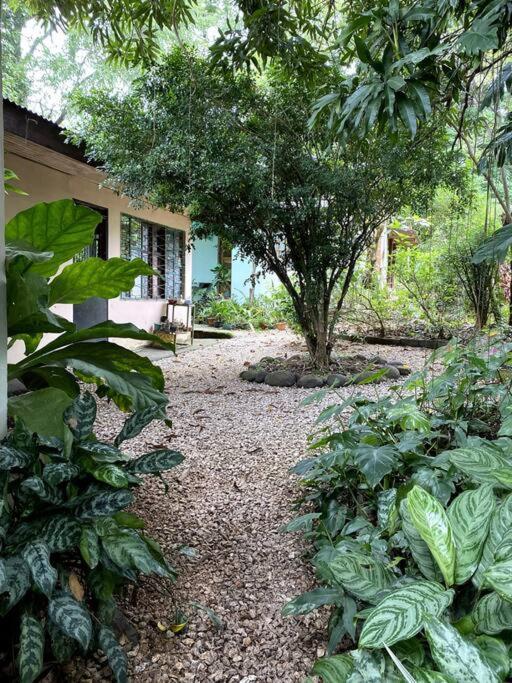 Maison d'hôtes Casa Briza à Nicoya Extérieur photo